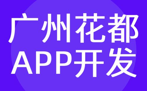 广州花都区APP开发 制作定制 外包平台 红匣子科技